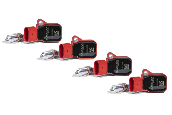 КОМПЛЕКТ: катушки BLACKROCK LAB VW-IGN-0180 + свечи NGK 94712 4шт. VAG Gen3 1.8T/2.0T/2.5T/3.0T/4.0T